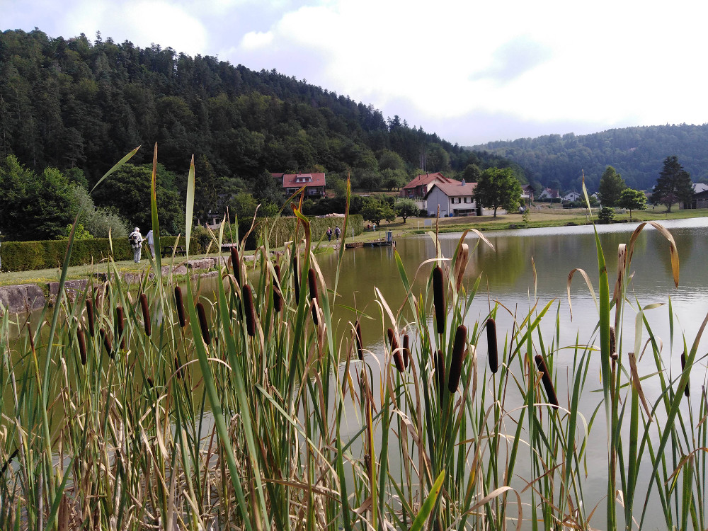 2019 Sortie d’été à Walscheid